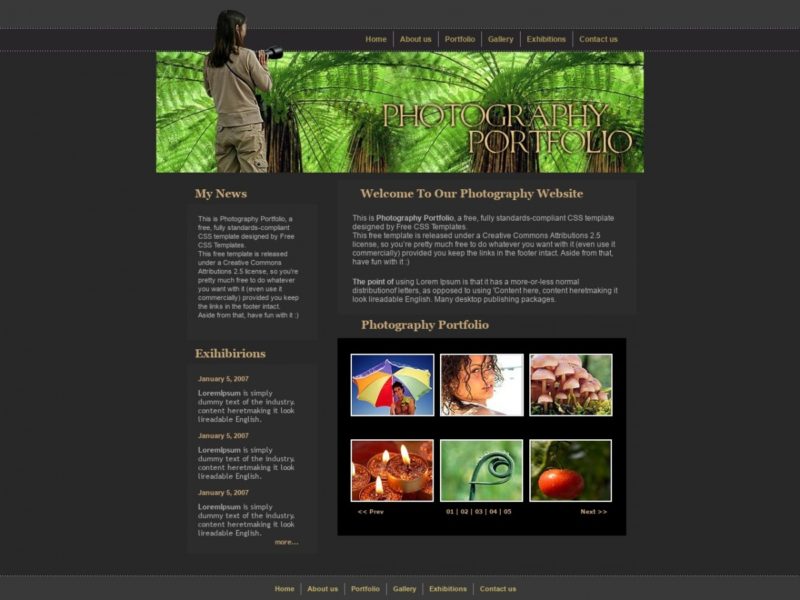 Plantillas Html Css Gratuita Para Descargar Photography Portfolio Sexiezpix Web Porn