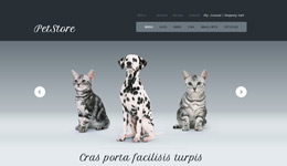 website template image