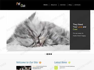 website template image