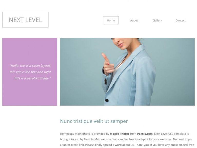 Download free HTML/CSS Template: Next Level - Free HTML Templates, Free ...